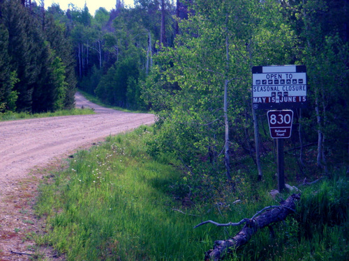 Medicine Bow National Forest.